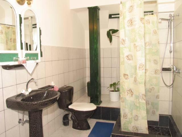 Pensiunea Ana Maria Târgu-Mureş Quarto foto